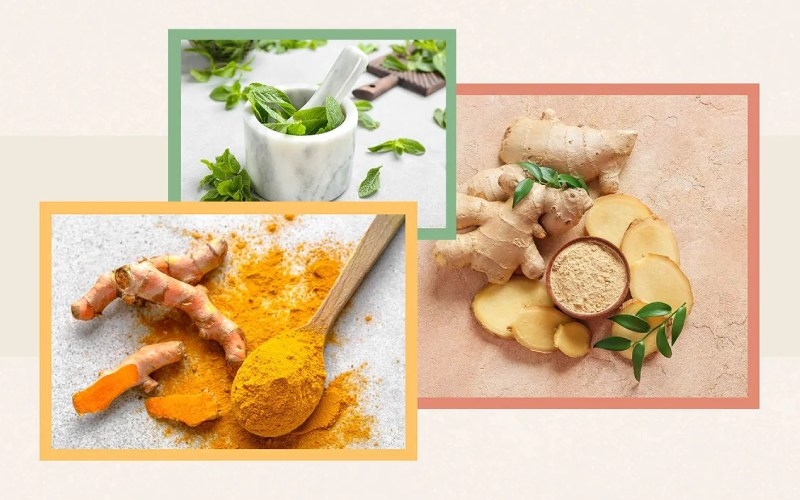 thuốc đau họng từ thảo dược