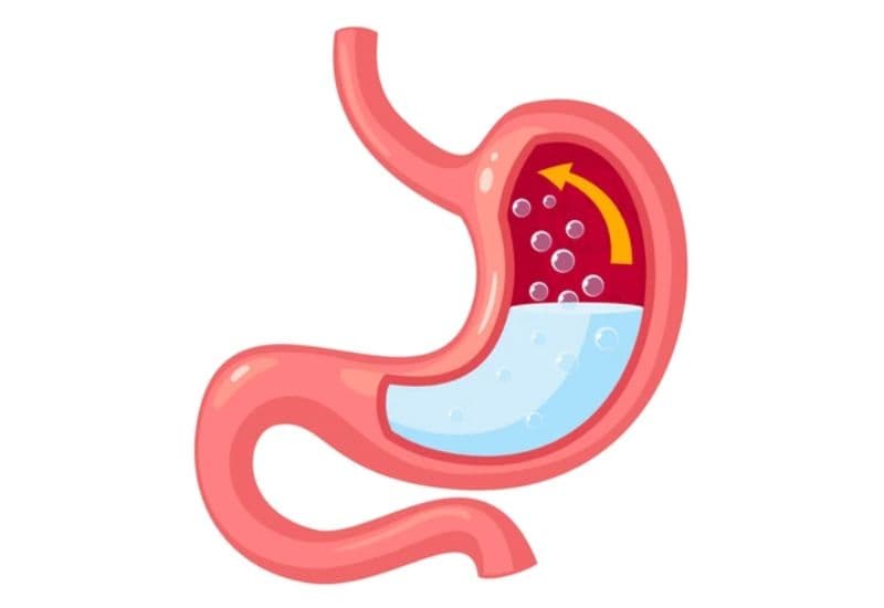 Nguyên nhân khiến bạn liên tục gặp tình trạng bị ợ hơi