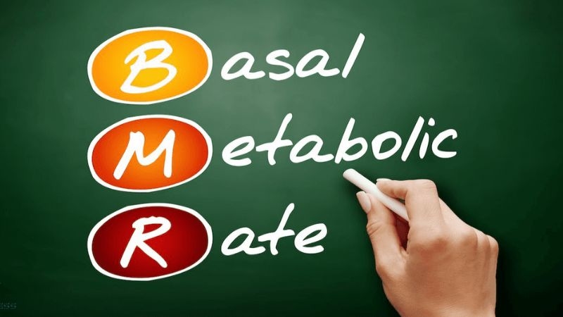 Nguyên tắc dinh dưỡng khi tập gym cần nhớ