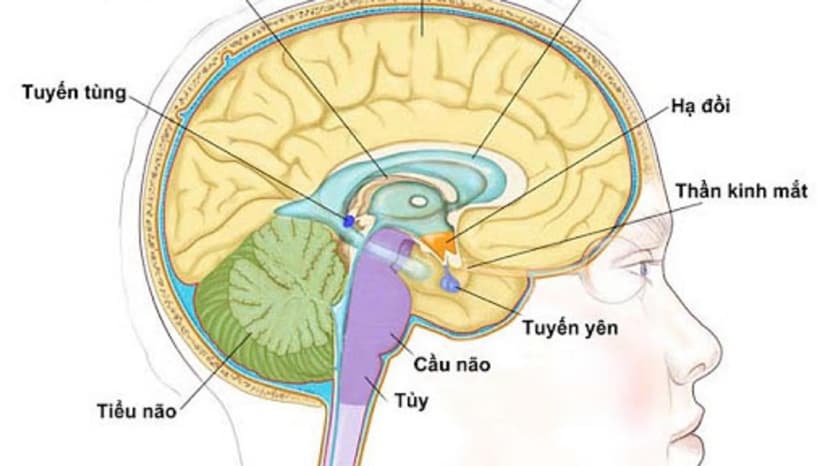 Giải đáp về giá chụp MRI sọ não và các yếu tố ảnh hưởng