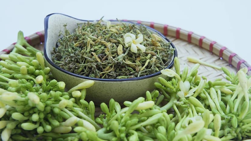 Hoa đu đủ đực có tác dụng gì – Lưu ý quan trọng khi sử dụng