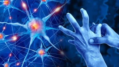 Parkinson là bệnh gì, những dấu hiệu nhận diện quan trọng