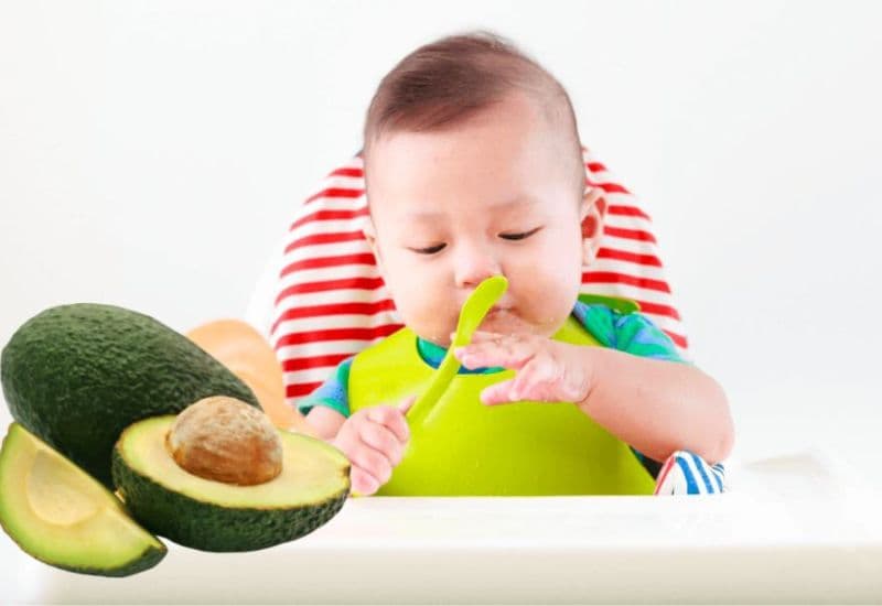 Việc cho bé ăn bơ từ sớm có thể giúp hoàn thiện hệ miễn dịch và nuôi dưỡng trí não khỏe mạnh.