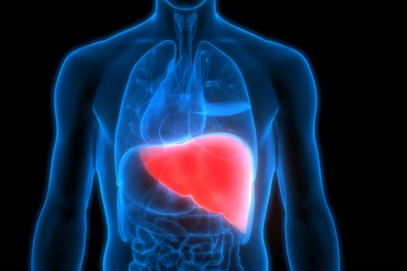 u lành tính ở gan nên có chế độ ăn lành mạnh