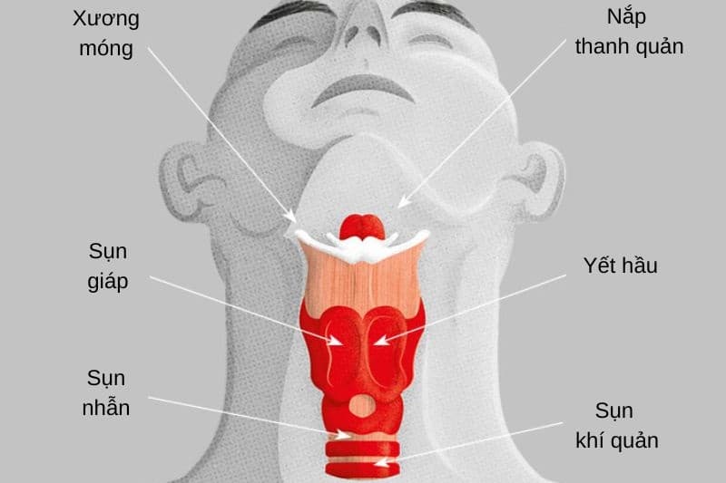 Khó chịu ở yết hầu với nam giới