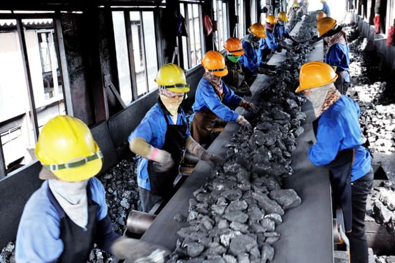 Môi trường làm việc độc hại (bệnh nghề nghiệp) được xác định là nguyên nhân làm giảm khả năng bảo vệ của phổi