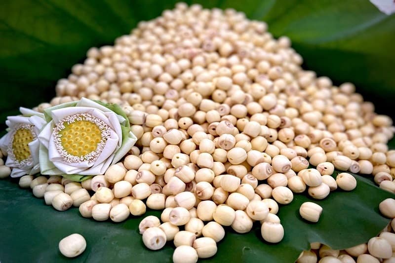 bé mấy tháng ăn hạt sen - hạt sen chứa nhiều dinh dưỡng