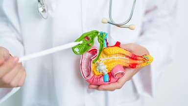 Các bệnh lý túi mật thường gặp