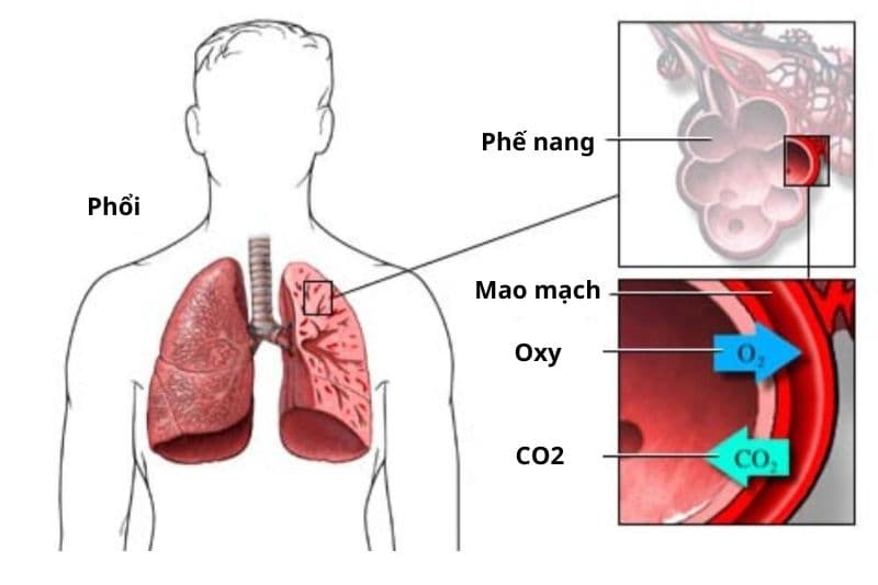 suy hô hấp tăng CO2