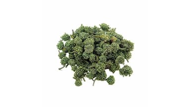 Tìm hiểu vấn đề cao huyết áp có uống được hoa tam thất không