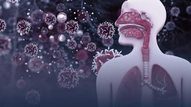 Cùng tìm hiểu yếu tố khởi phát hen phế quản là gì