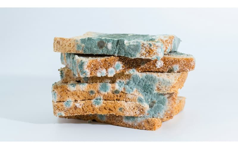 Người bệnh nên hạn chế tiếp xúc với dị nguyên gây hen như bụi nhà, lông thú, nấm mốc, phấn hoa