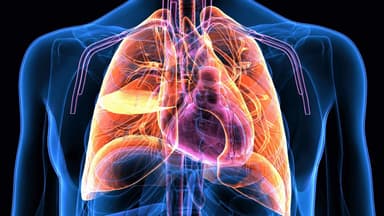 Hiểu rõ từ A đến Z về suy hô hấp mãn tính