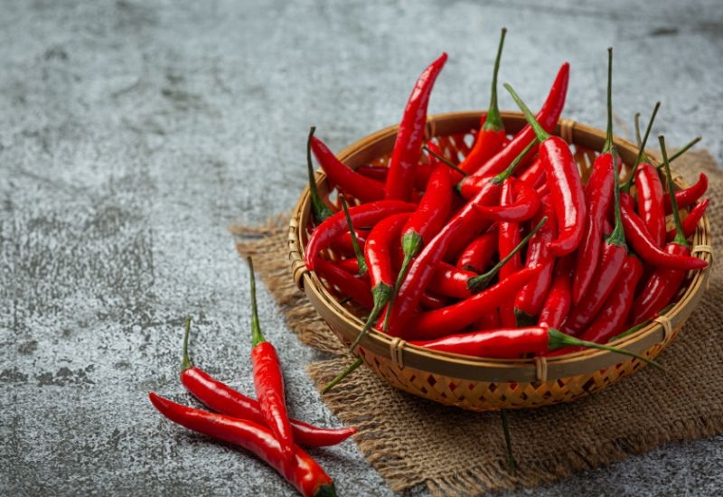 Capsaicin là hoạt chất tạo vị cay đặc trưng của ớt, có khả năng làm giãn mạch tạm thời, kích thích lưu thông máu, giảm đau và kháng viêm.