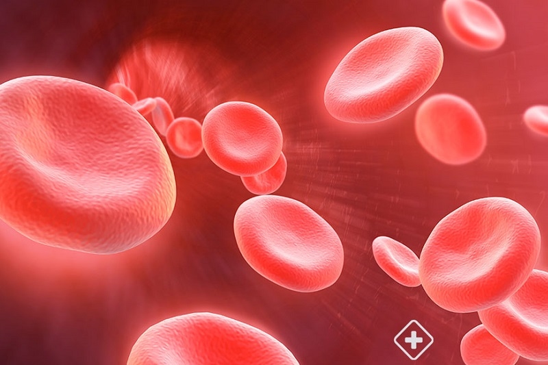 thiếu máu là biến chứng của ung thư gan