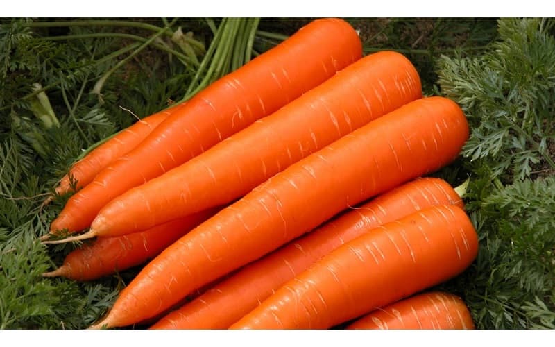 món ăn trị hen suyễn