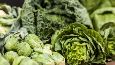 Những món ăn trị hen suyễn mà ít người ngờ tới