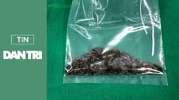 Tán sạch sỏi lâu năm bám chặt như các mảng “rỉ sét” trong bể thận