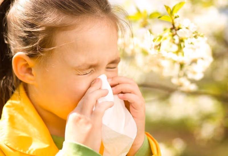 Suy hô hấp cấp có thể khởi phát do nhiều yếu tố khác nhau, trong đó bao gồm cả nguyên nhân xuất phát từ phổi và các tác nhân ngoài phổi.