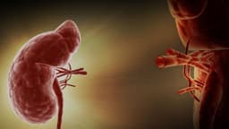 Giãn đài bể thận 5mm là sao, kích thước nào nguy hiểm?