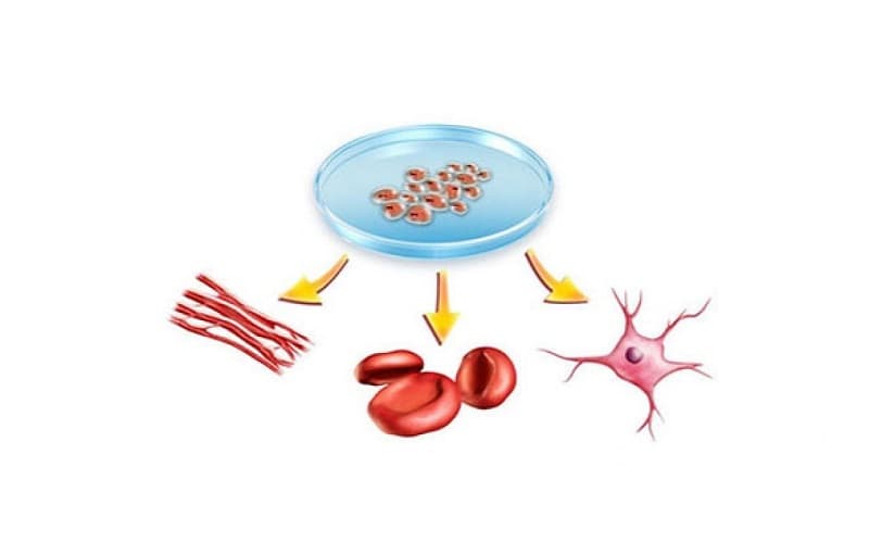 Để xác định bản chất và mức độ khối u, bác sĩ thường chỉ định một số kỹ thuật cận lâm sàng