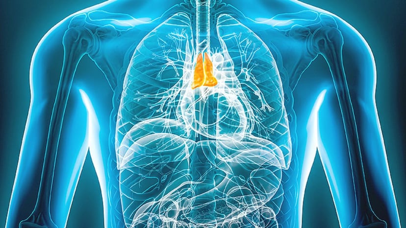 Tìm hiểu nguyên nhân mắc u lympho trung thất
