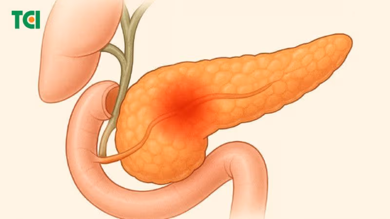 Điều trị hỗ trợ cơ bản