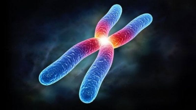 Nguyên nhân gây loạn dưỡng cơ Duchenne