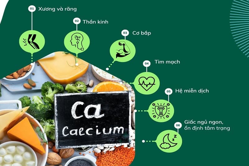 các món ăn bổ sung canxi cho bé - canxi quan trọng đối với cơ thể