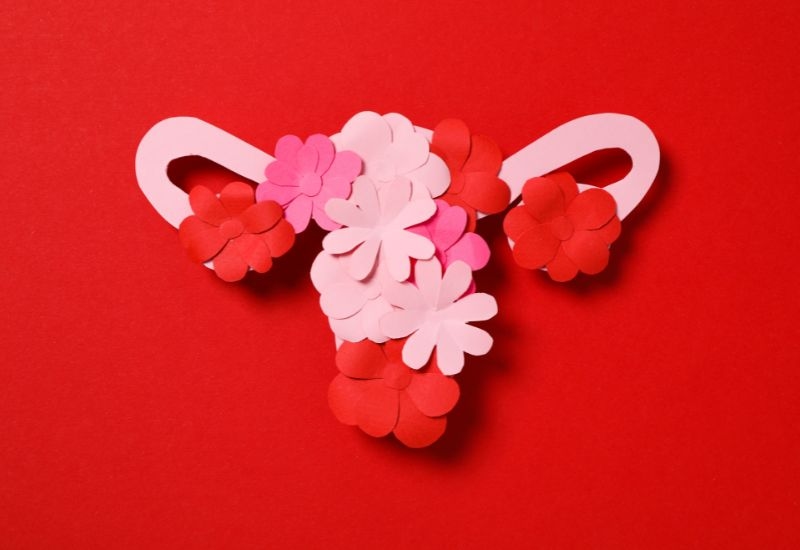 Thời điểm rụng trứng - Rụng trứng là quá trình buồng trứng phóng ra một trứng trưởng thành vào ống dẫn trứng.