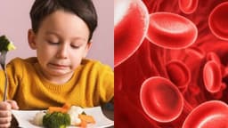 8 Loại thực phẩm bổ máu cho bé để phát triển sức khỏe toàn diện