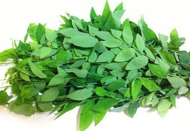 Bà bầu có nên ăn rau ngót là thắc mắc chung của nhiều mẹ trong giai đoạn mang thai.