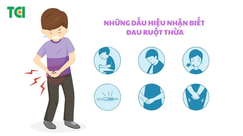 Dầu hiệu đau ruột thừa