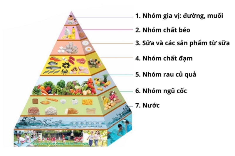 Tháp dinh dưỡng cho trẻ từ 1 đến 6 tuổi: Cha mẹ nên quan tâm đến tốc độ tăng trưởng thể chất, phát triển não bộ và hành vi ăn uống của trẻ