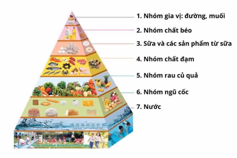 Tháp dinh dưỡng cho trẻ từ 1 đến 6 tuổi: Cha mẹ nên quan tâm đến tốc độ tăng trưởng thể chất, phát triển não bộ và hành vi ăn uống của trẻ
