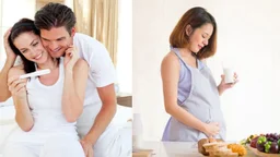 8 Thực phẩm tốt cho quá trình thụ thai mẹ bầu cần biết