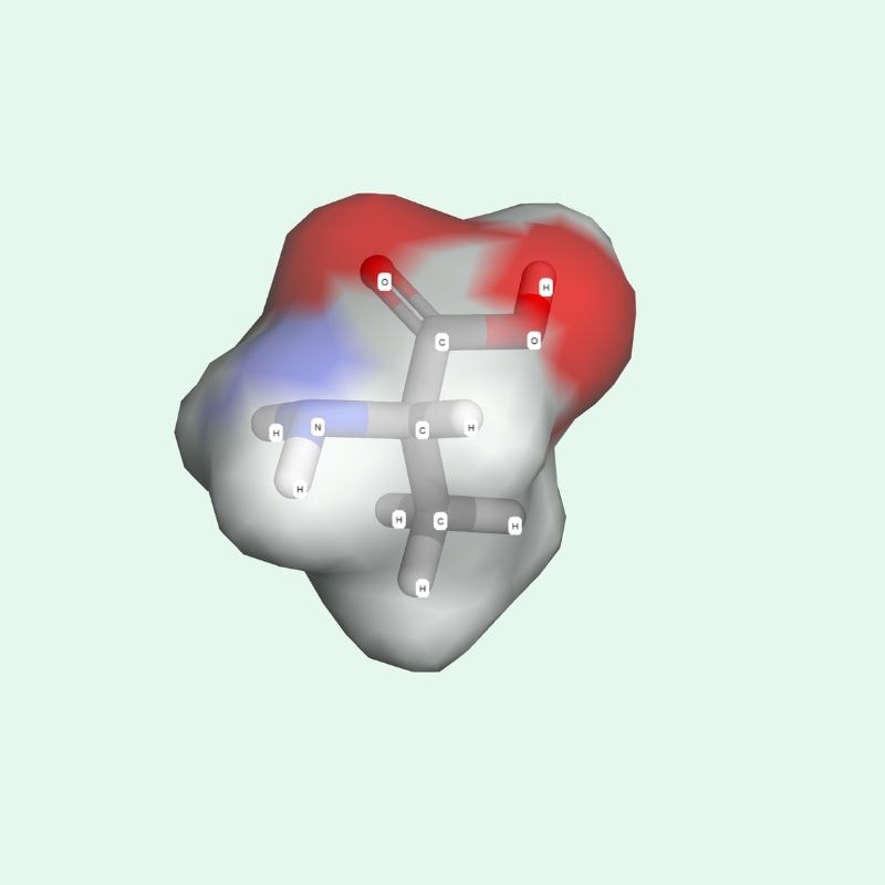 Alanine thuộc nhóm các axit amin đơn giản nhất nhờ cấu trúc alanine chỉ gồm một nhóm methyl (-CH₃) làm chuỗi bên.