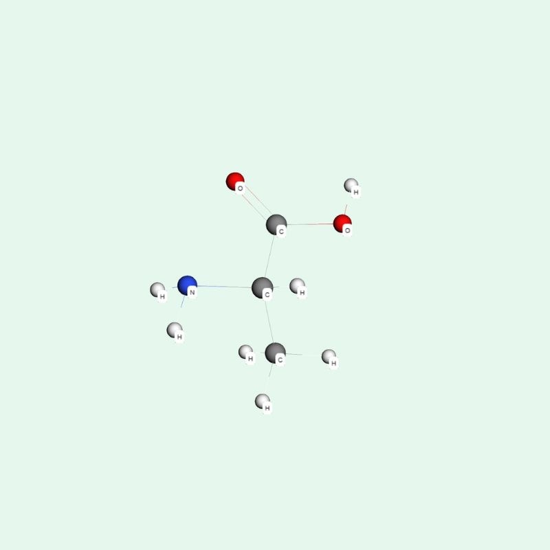 Một trong những chức năng alanine nổi bật nhất là vai trò trung tâm trong chu trình Glucose-Alanine.