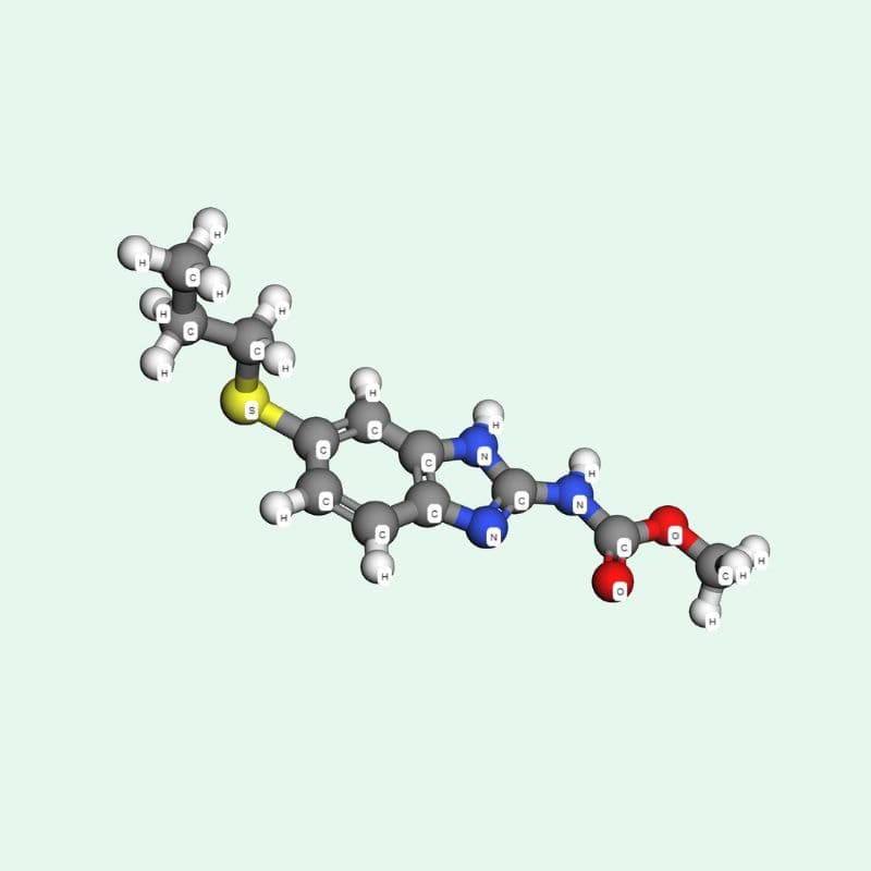 Liều dùng albendazole phụ thuộc vào loại ký sinh trùng, độ tuổi và cân nặng của người sử dụng