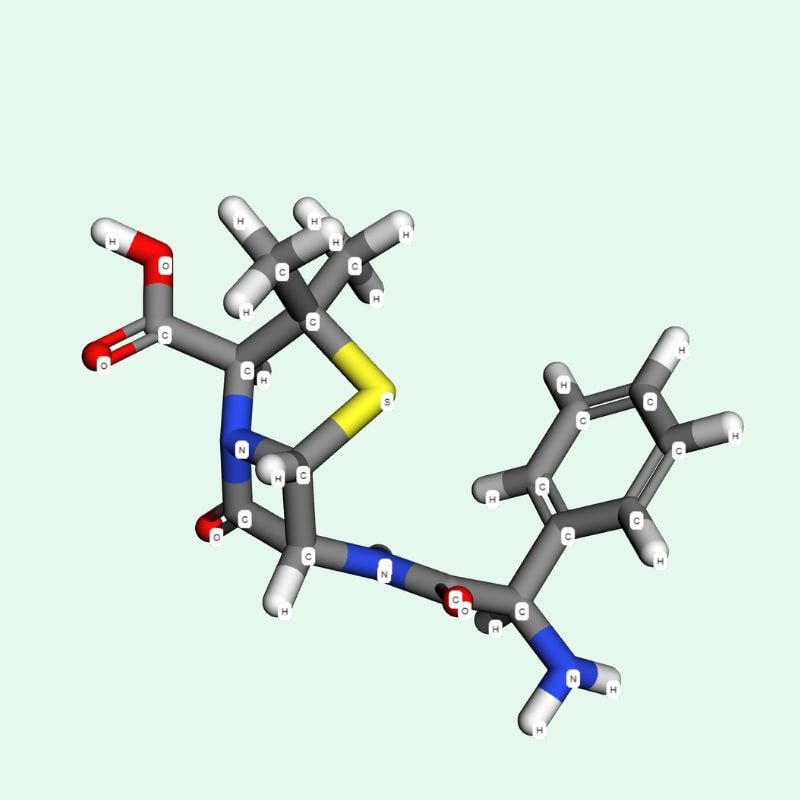 Người từng có phản ứng dị ứng với penicillin, cephalosporin hoặc bất kỳ beta-lactam nào khác không nên dùng ampicillin.