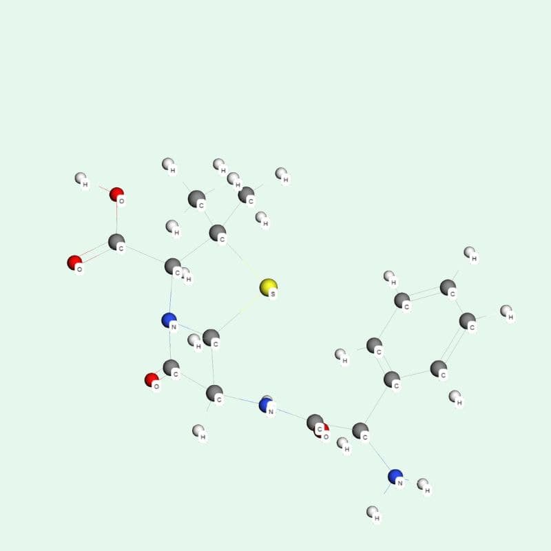 Ampicillin có sẵn dưới nhiều dạng: viên nén, viên nang uống, bột pha tiêm (tiêm bắp hoặc tiêm tĩnh mạch).