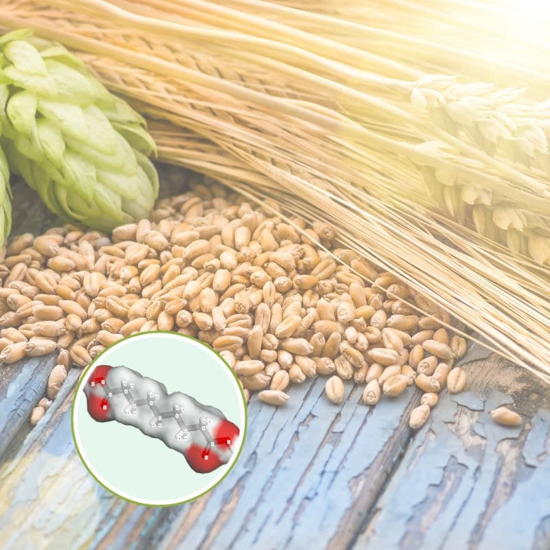 Nguồn gốc của azelaic acid