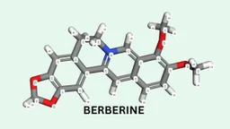 Berberine là hoạt chất gì: Tác dụng và cách dùng