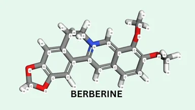 Berberine là hoạt chất gì: Tác dụng và cách dùng