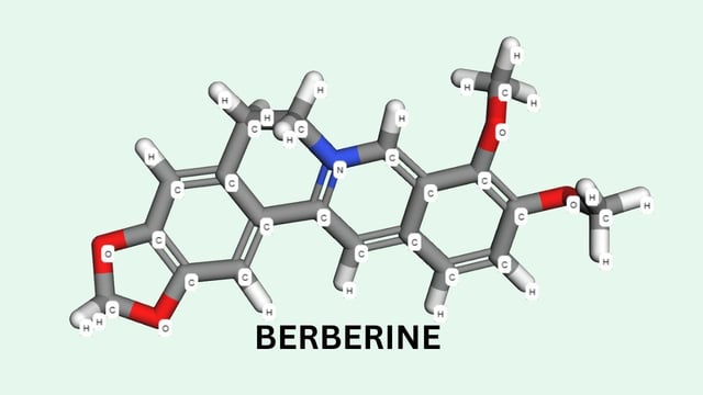 Berberine là hoạt chất gì: Tác dụng và cách dùng