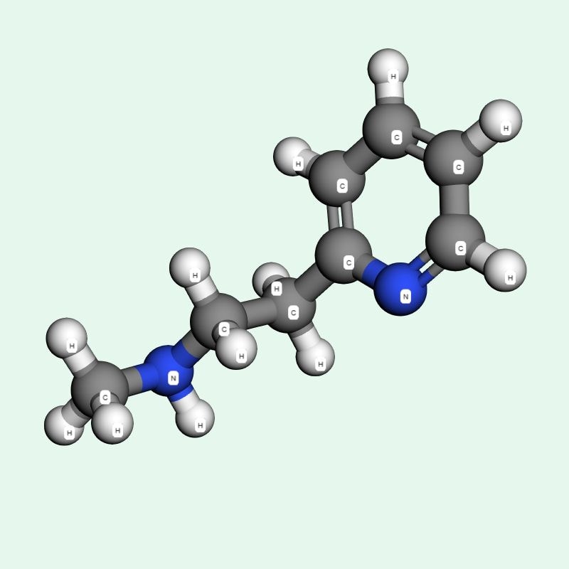 Betahistine giúp cải thiện tuần hoàn máu trong tai trong, điều hòa hoạt động hệ tiền đình và hỗ trợ làm giảm các triệu chứng điển hình của hội chứng Ménière.