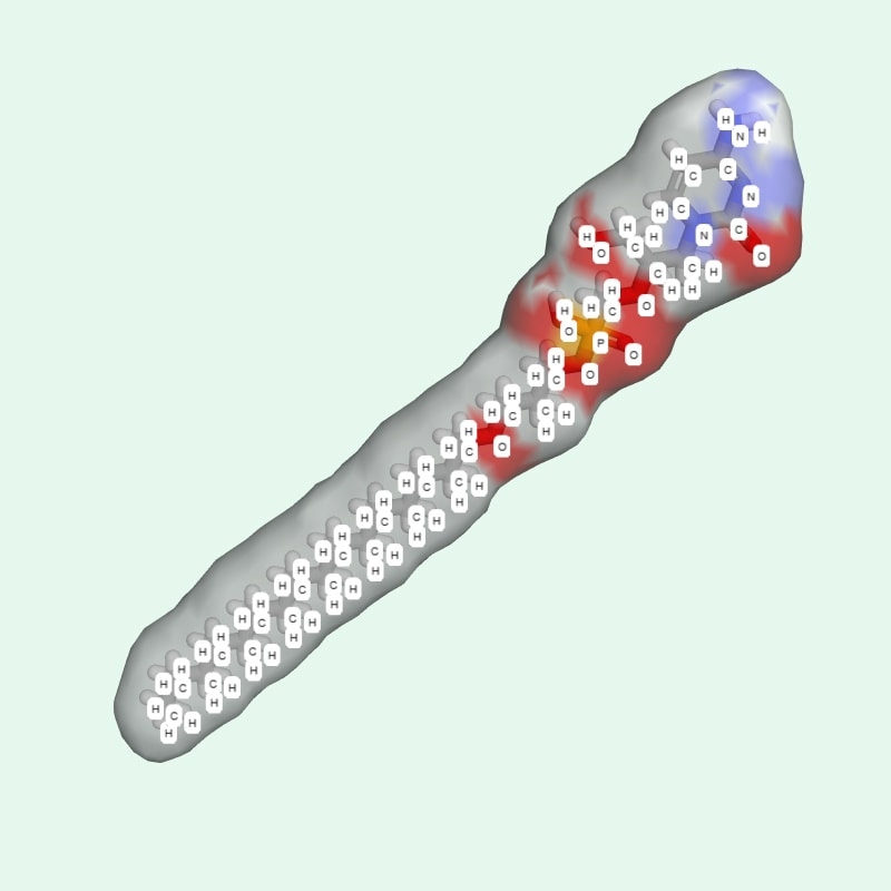 Brincidofovir là hoạt chất gì?