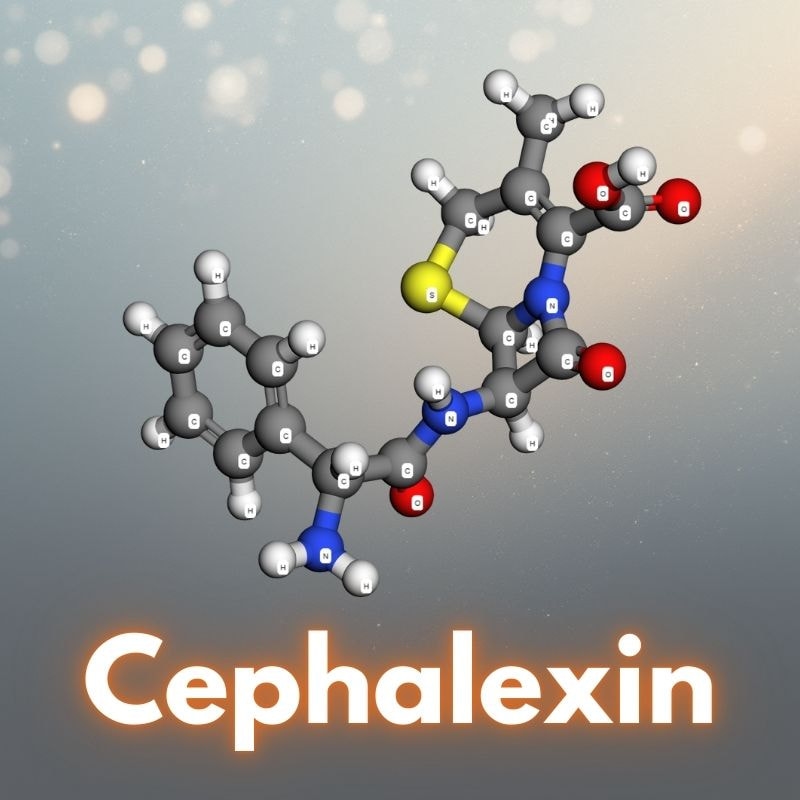 Cephalexin là hoạt chất gì?