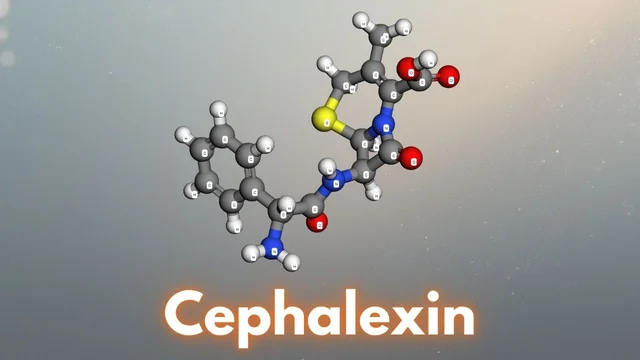 Cephalexin là hoạt chất gì? Tác dụng và cách dùng