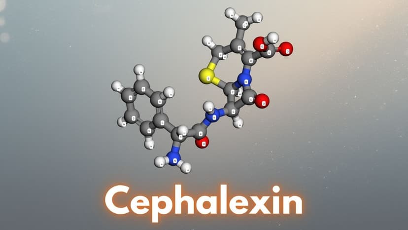 Cephalexin là hoạt chất gì? Tác dụng và cách dùng